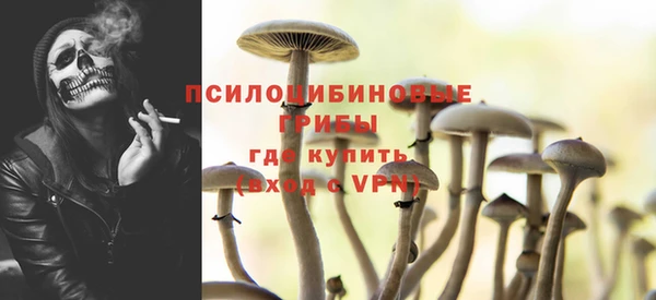 2c-b Абдулино