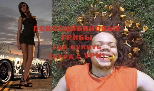 2c-b Абдулино