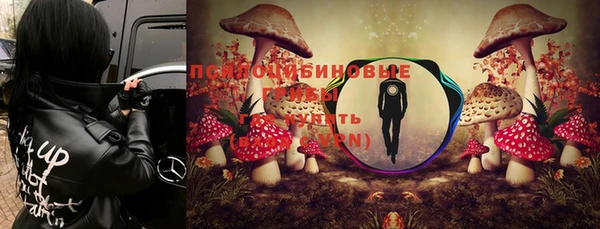 ПСИЛОЦИБИНОВЫЕ ГРИБЫ Абинск