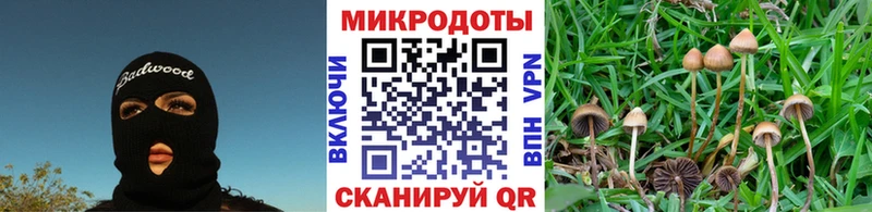 Псилоцибиновые грибы мухоморы  наркошоп  Пудож 
